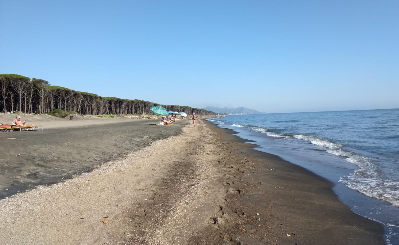 Foto de Camping La Foce beach con arena oscura superficie