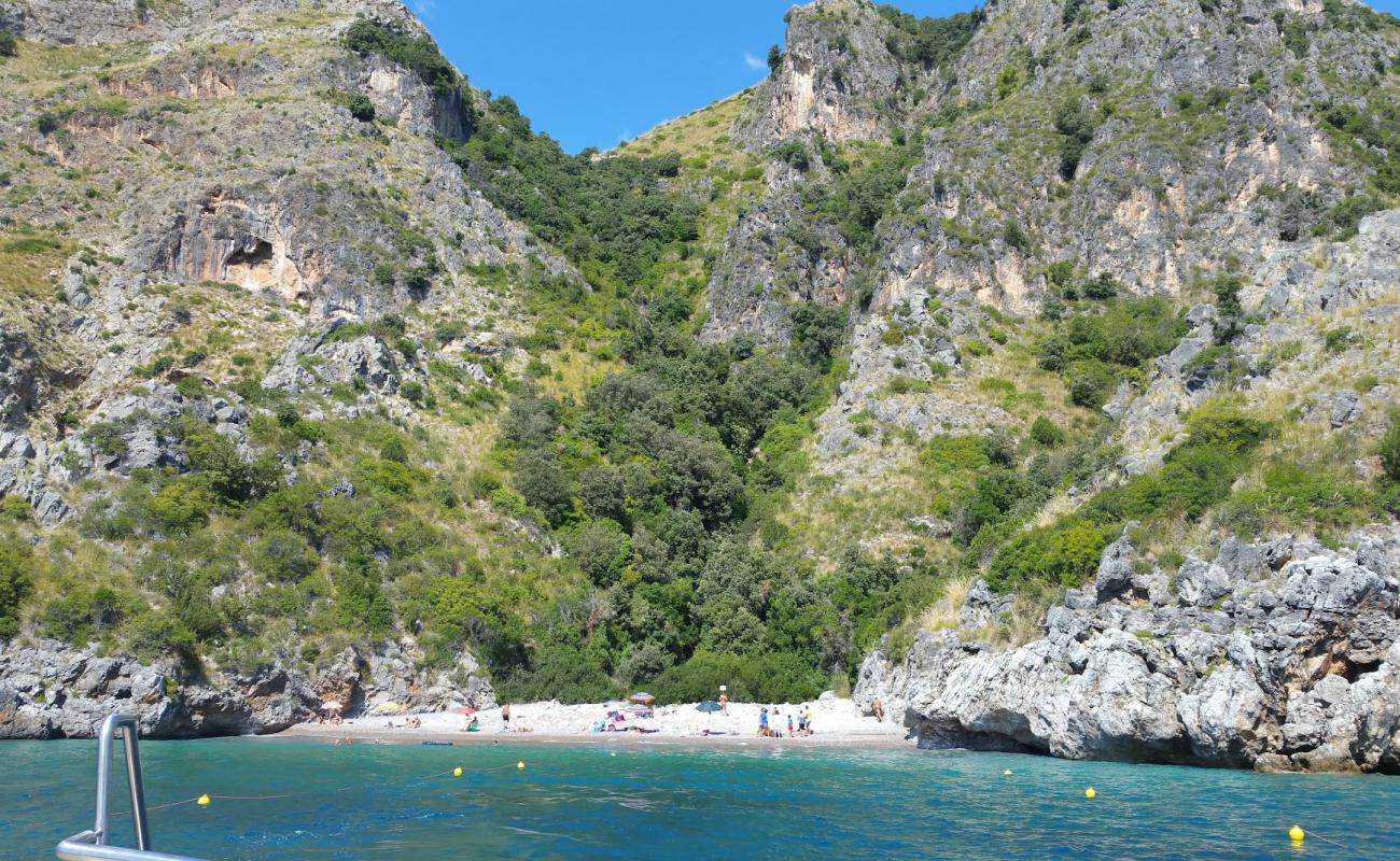 Foto de Spiaggia di Cala dei Morti con guijarro fino oscuro superficie