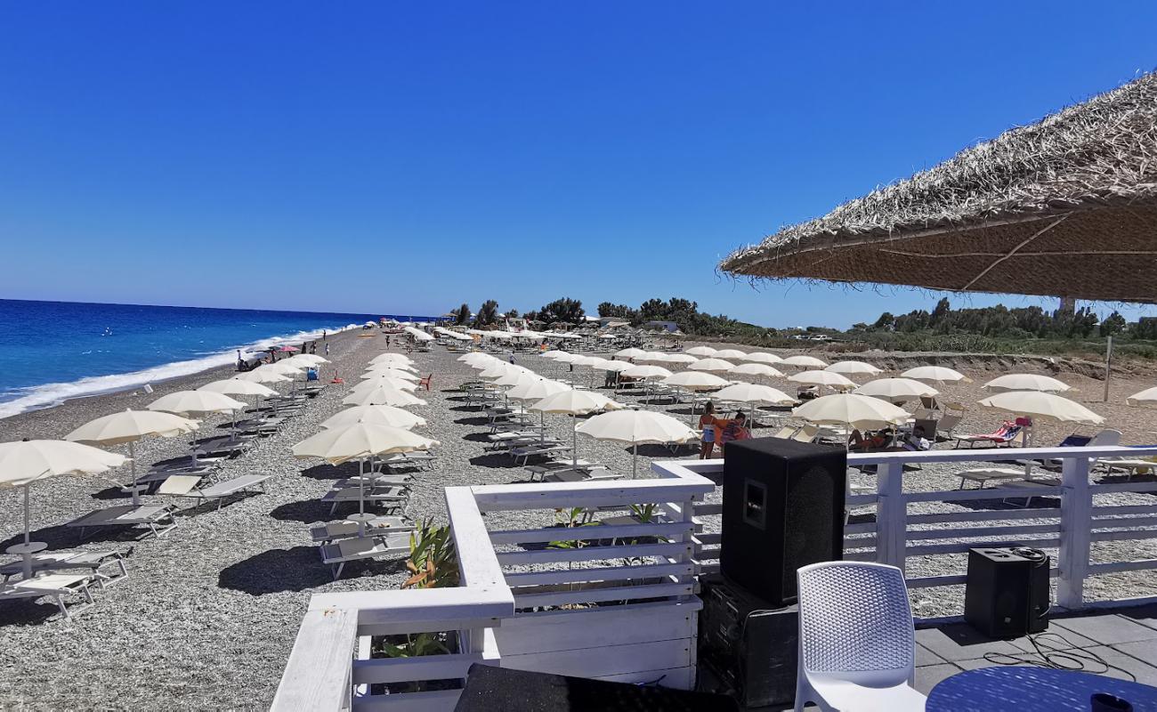 Foto de Punta Alice beach con guijarro fino gris superficie