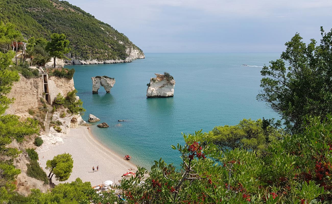 Foto de Playa Baia dei Mergoli con guijarro fino claro superficie