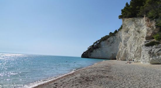 Playa de Vignanotica