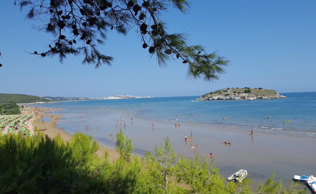 Foto de Spiaggia di Portonuovo con arena oscura superficie