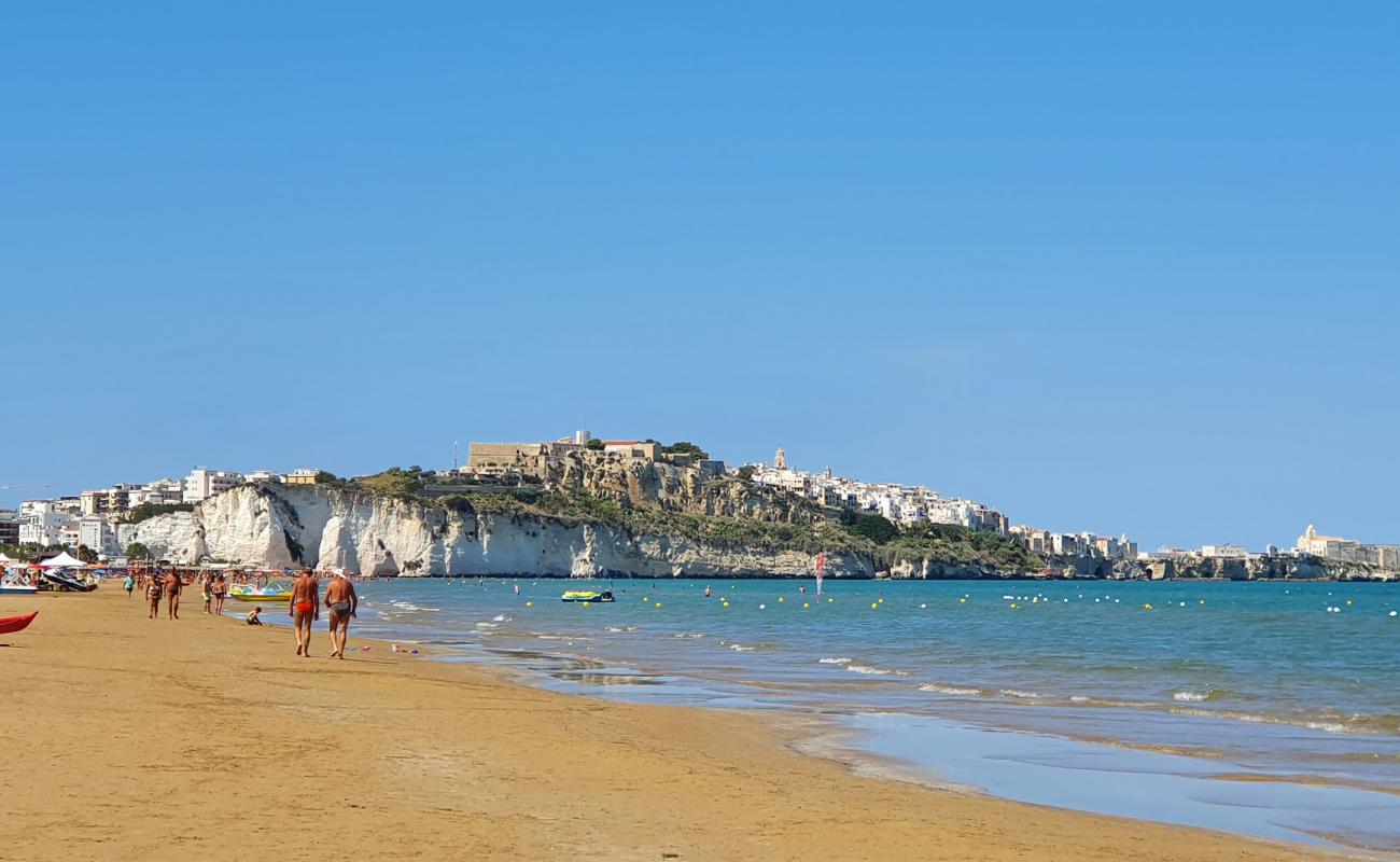 Foto de Spiaggia di Vieste con arena fina oscura superficie