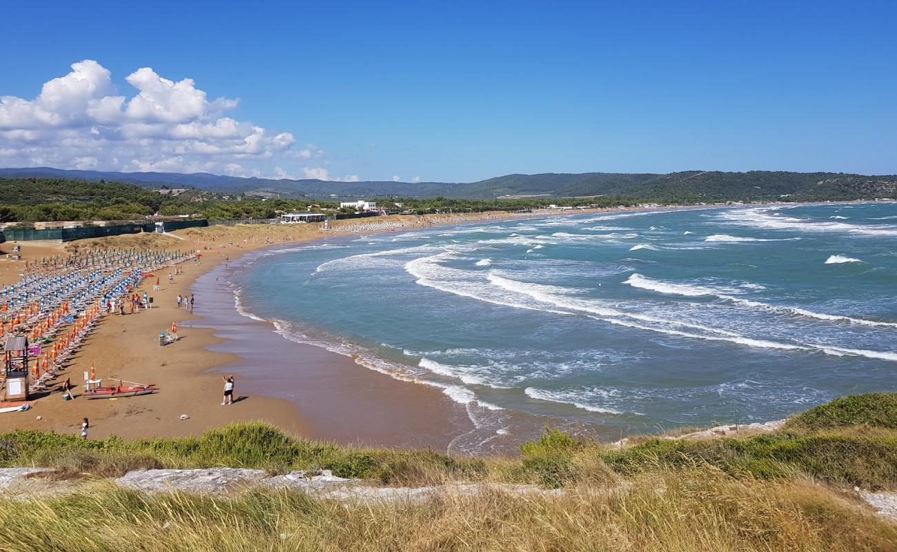 Foto de Spiaggia di Scialmarino con arena fina oscura superficie