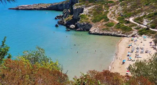 Spiaggia di Procinisco