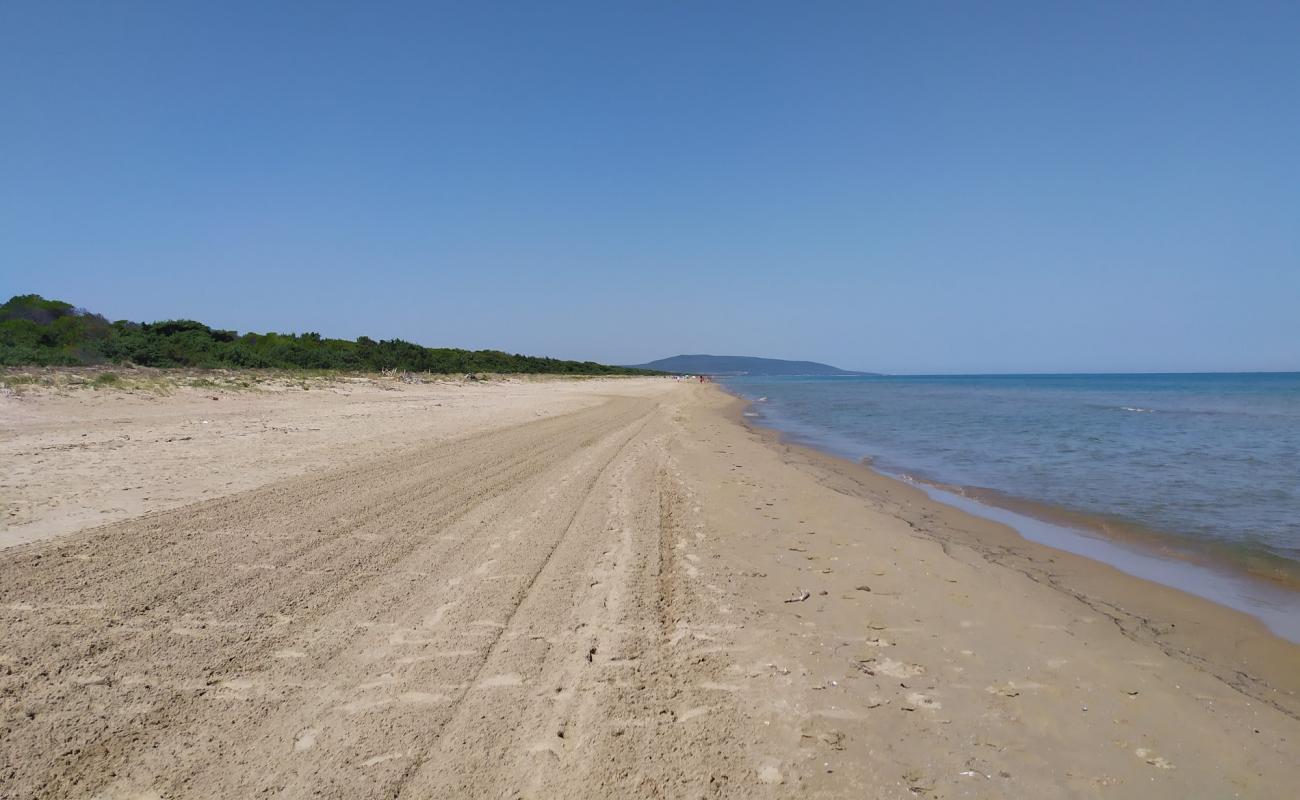 Foto de Isola di Varano con arena oscura superficie