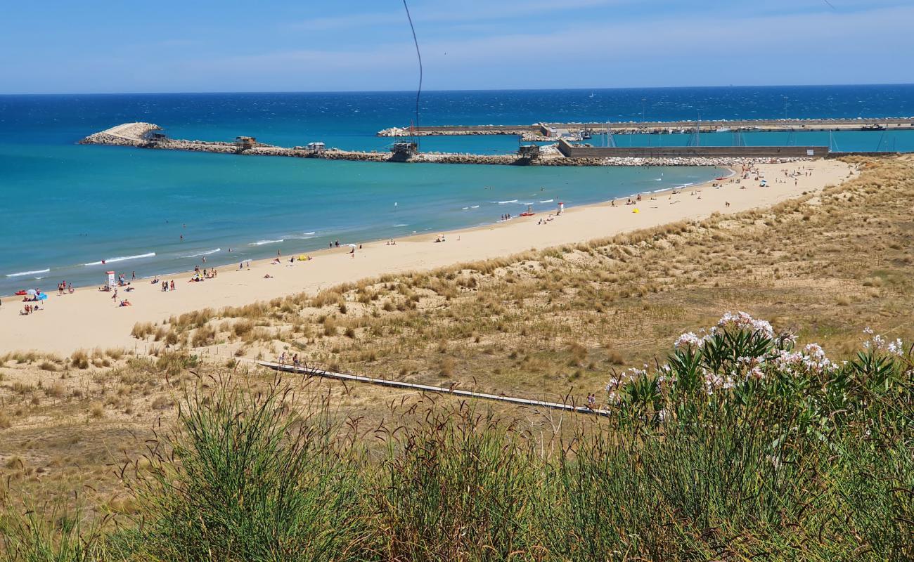 Foto de Spiaggia di Punta Penna con arena fina oscura superficie