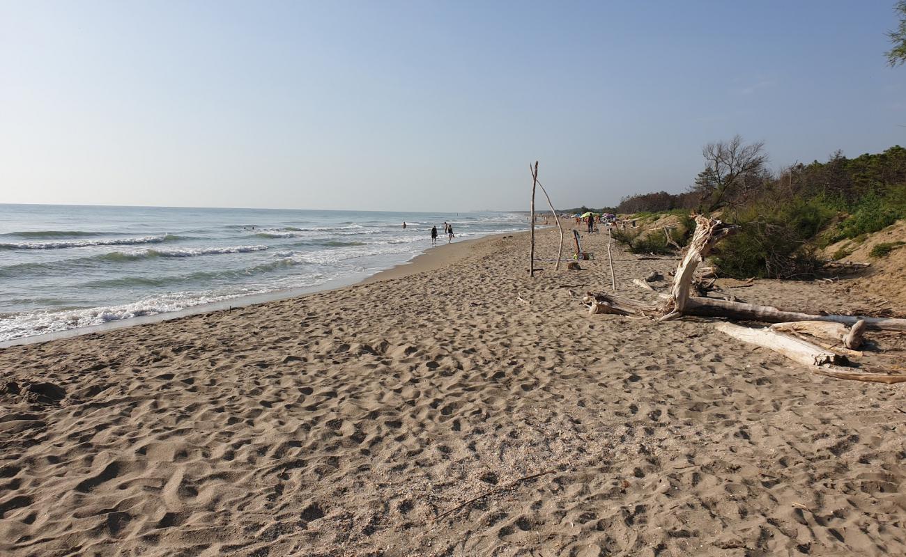 Foto de Spiaggia della Bassona con arena brillante superficie