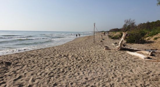 Spiaggia della Bassona