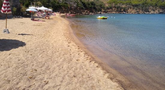 Spiaggia di Galenzana