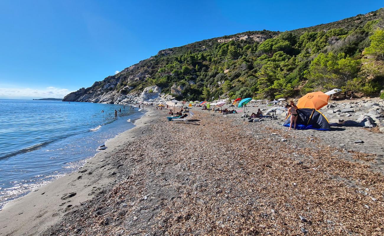 Foto de Palombaia Beach con guijarro gris superficie