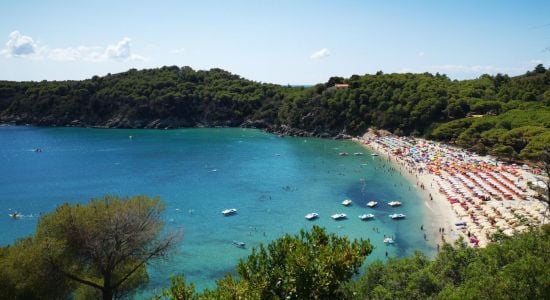 Playa de Fetovaia