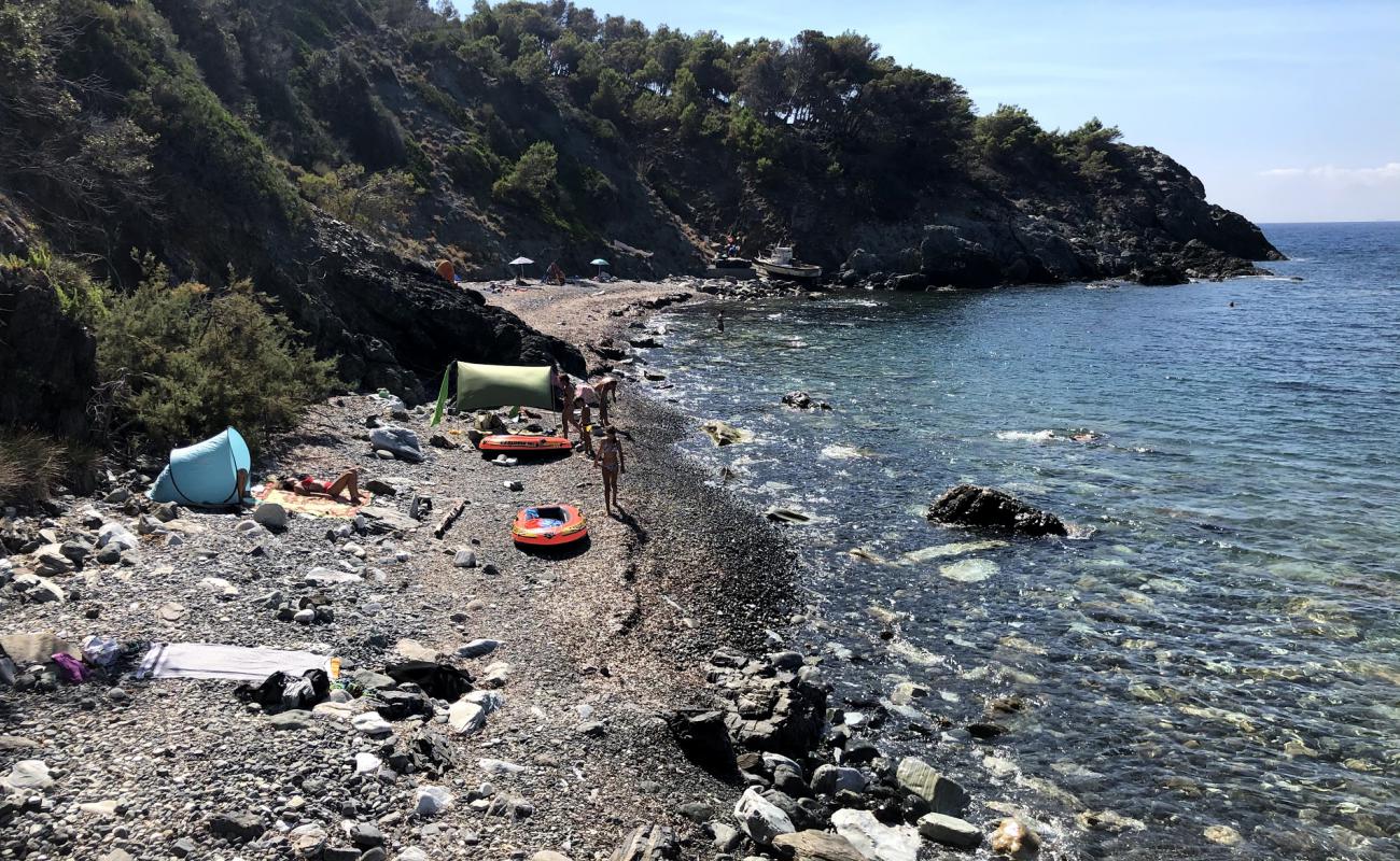 Foto de Spiaggia dell'Ogliera con guijarro ligero superficie