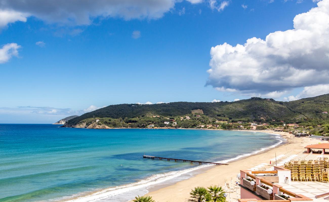 Foto de Playa de Procchio con brillante arena fina superficie