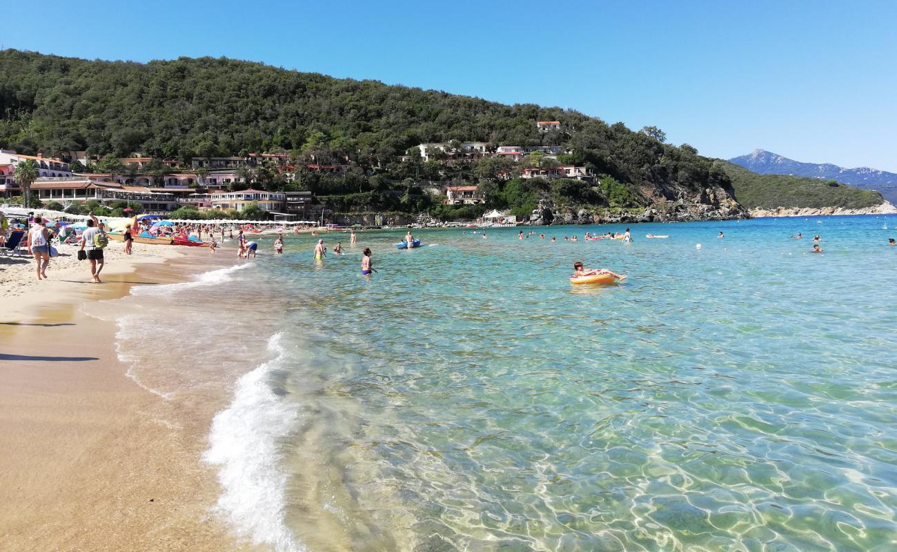 Foto de Playa de Biodola con brillante arena fina superficie