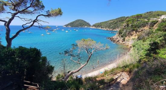 Spiaggia del Viticcio