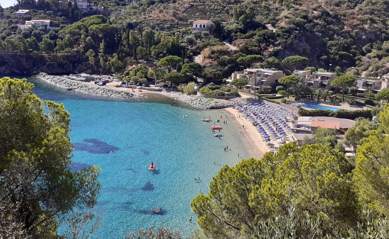 Foto de Playa Cannelle con brillante arena fina superficie