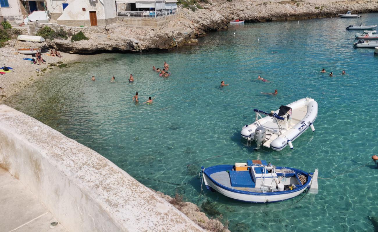 Foto de Cala Dogana beach con piedra superficie