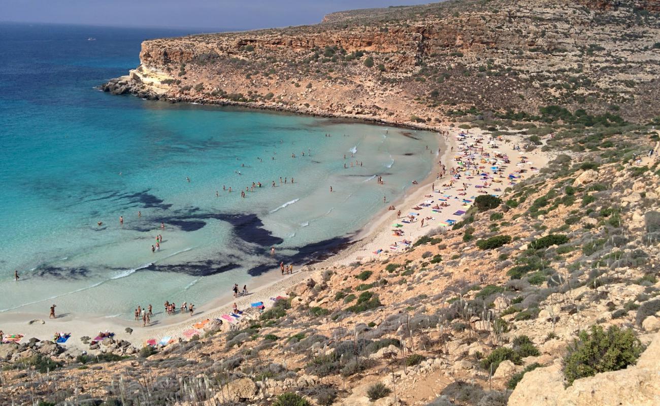 Foto de Playa Dei Conigli con brillante arena fina superficie