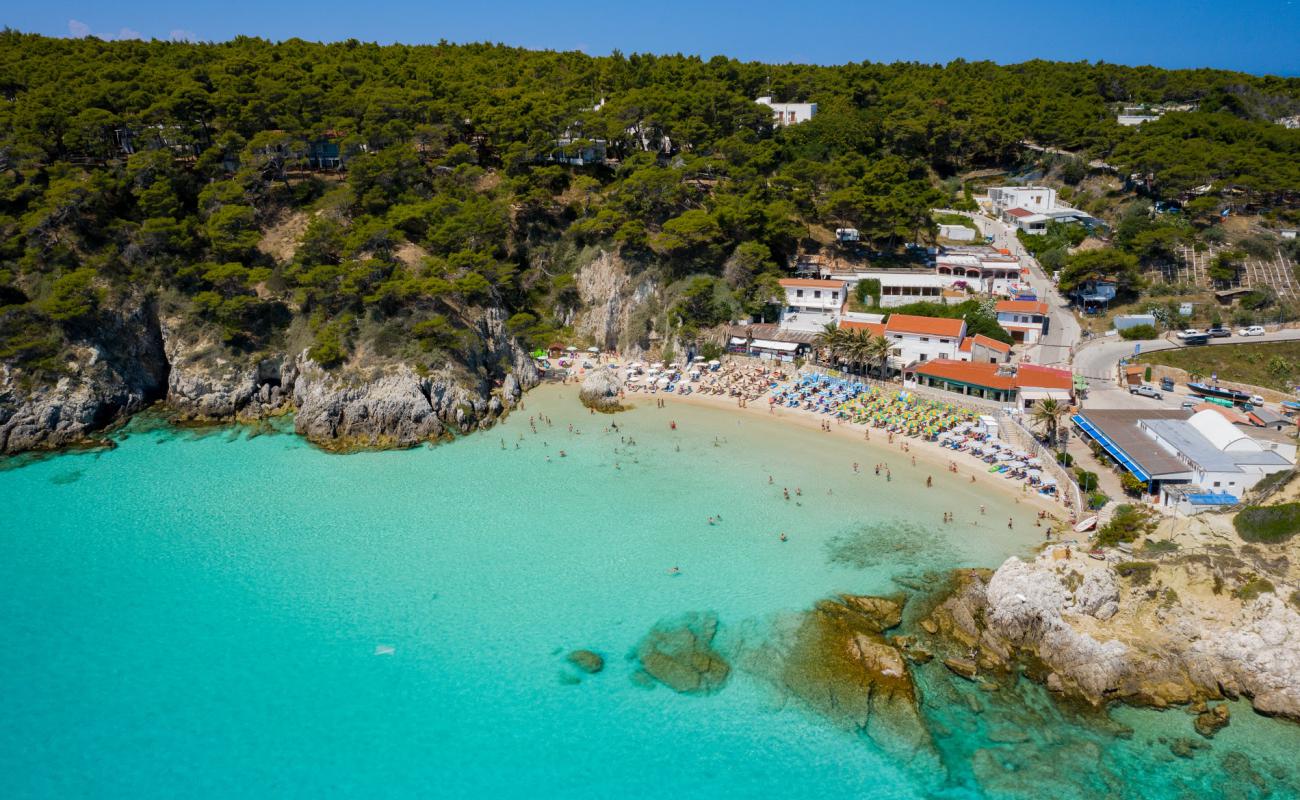 Foto de Playa de las Tremitas (Cala de las Arenas) con brillante arena fina superficie