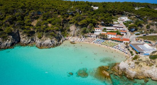 Playa de las Tremitas (Cala de las Arenas)