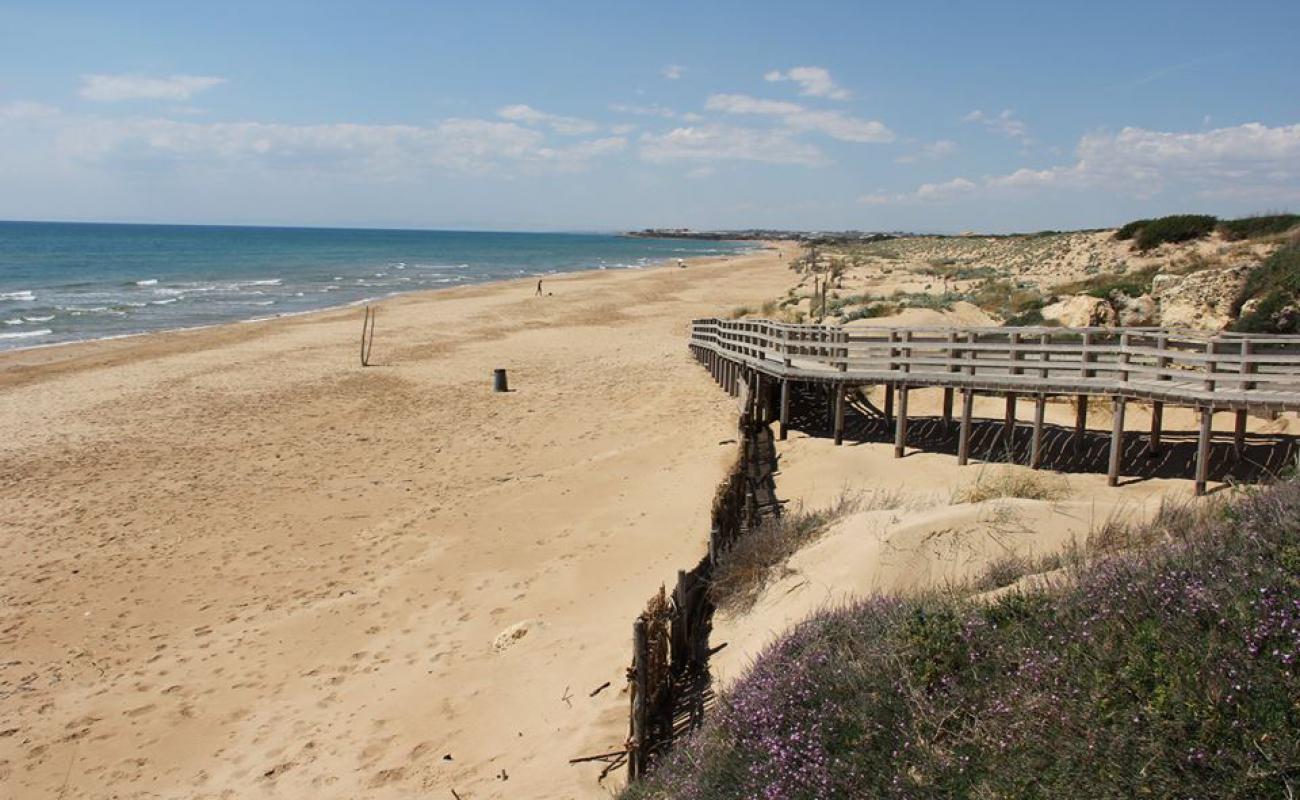 Foto de Randello beach con arena brillante superficie