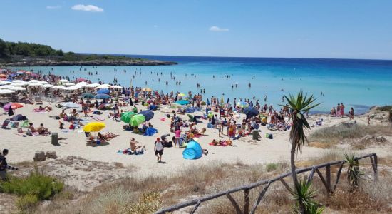 Spiaggia di Montedarena