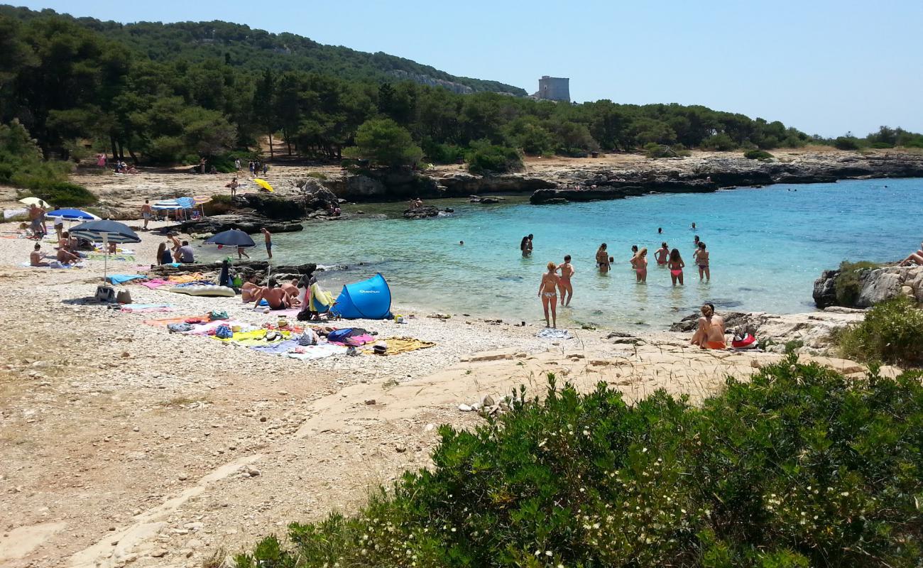 Foto de Spiaggia di Porto Selvaggio con piedra superficie