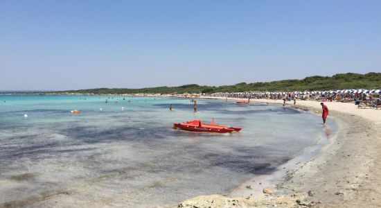 Playa Punta Pizzo