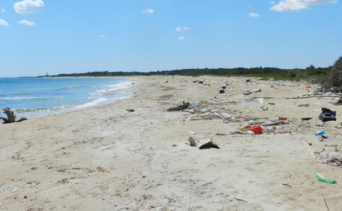 Foto de Ponticello Lido beach con arena brillante superficie