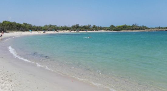 Spiaggia di Torre Guaceto