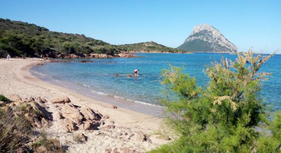 Playa Costa Dorada