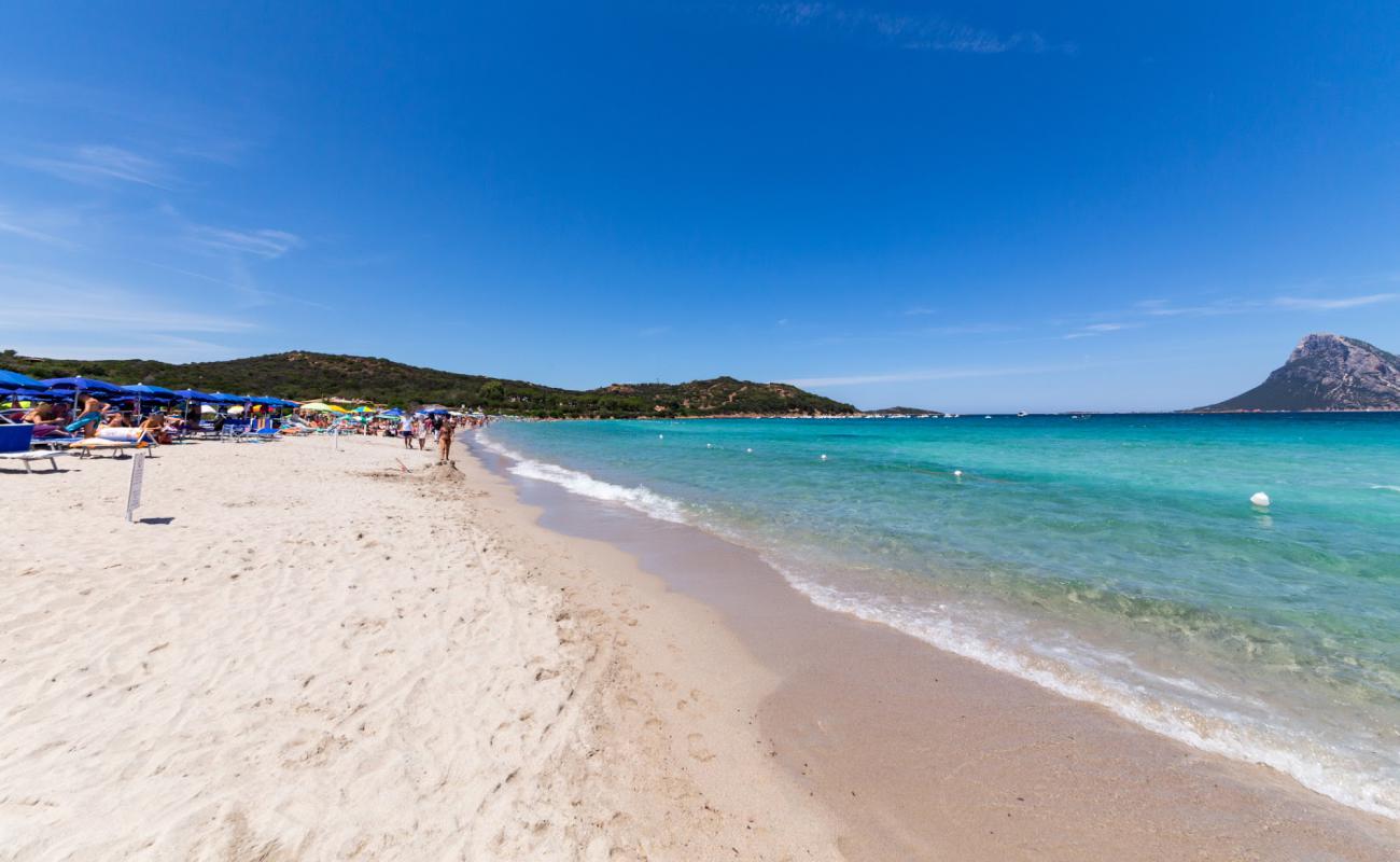 Foto de Playa de Porto Taverna con brillante arena fina superficie