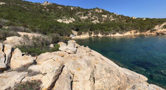 Punta Molara beach