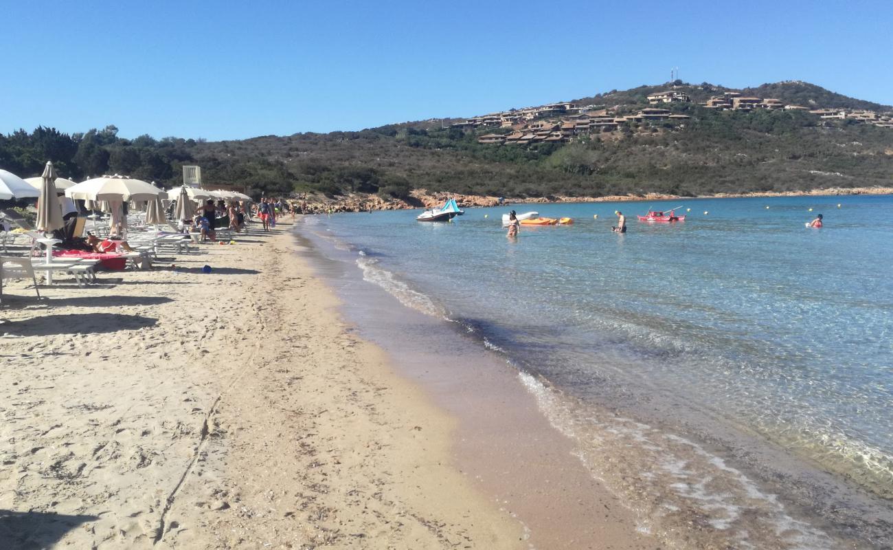 Foto de Playa Capo Coda Cavallo ubicado en área natural