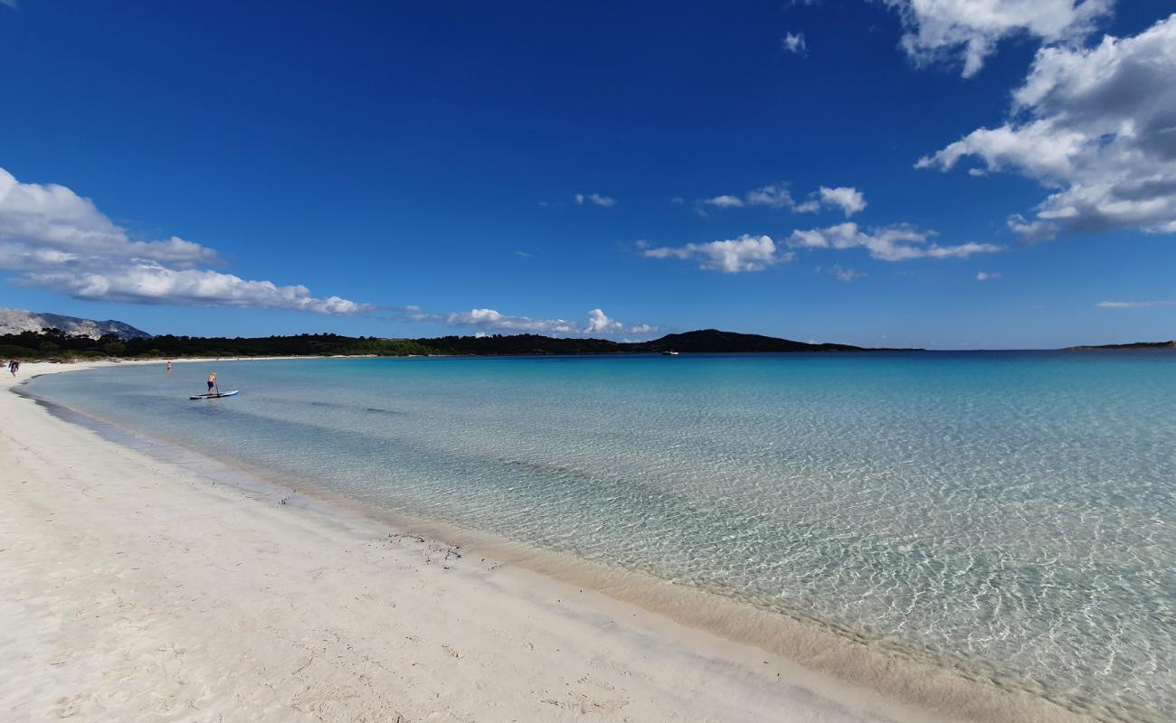 Foto de Playa Cala Brandinchi con brillante arena fina superficie