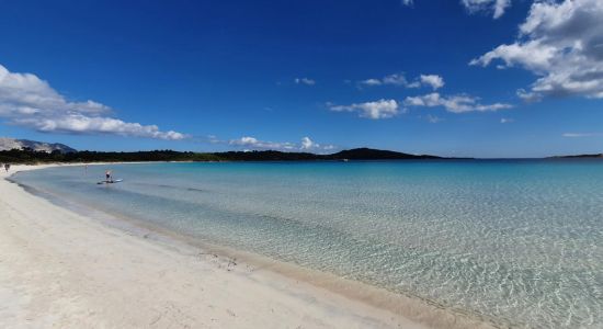 Playa Cala Brandinchi