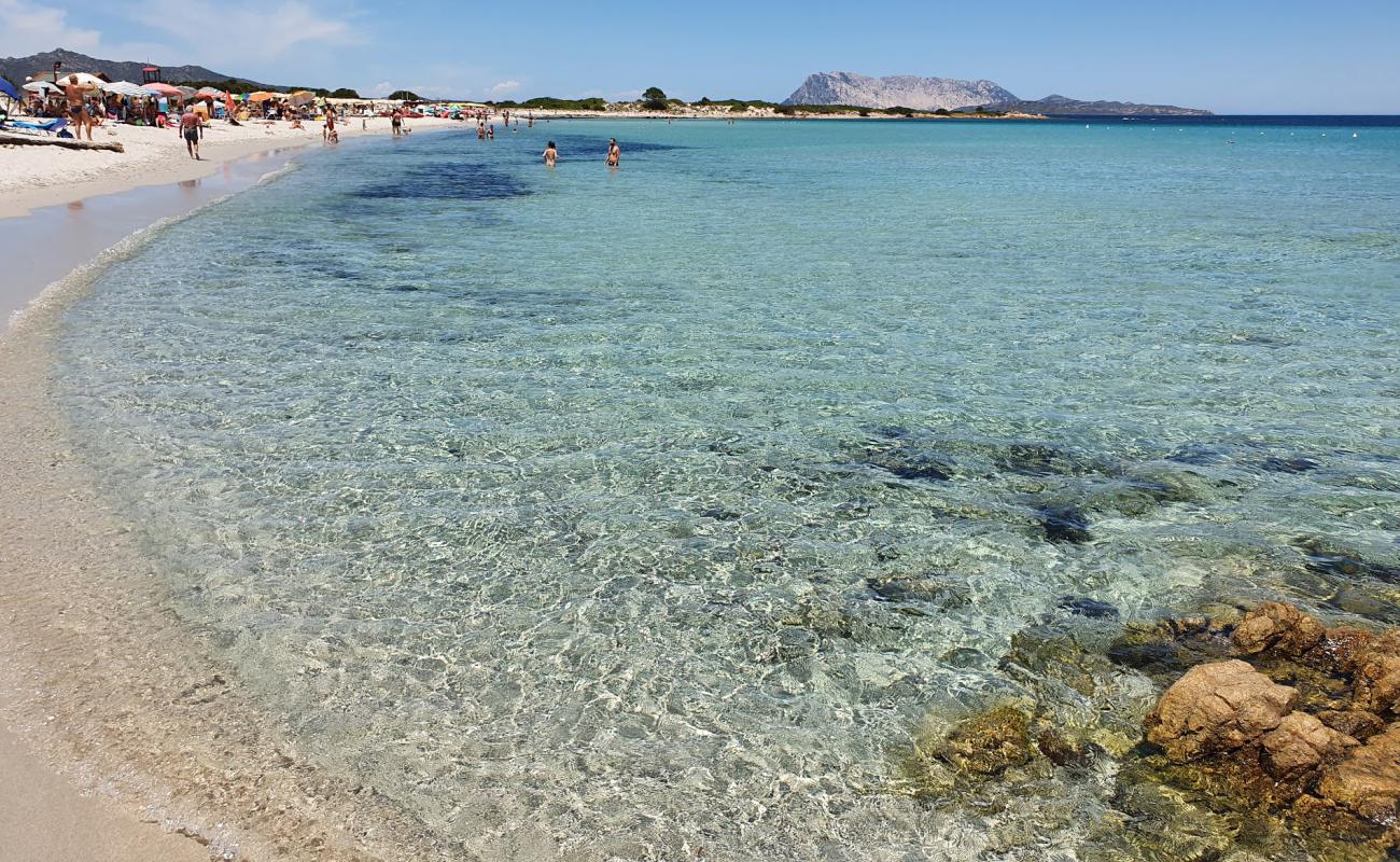 Foto de Playa Isuledda con brillante arena fina superficie