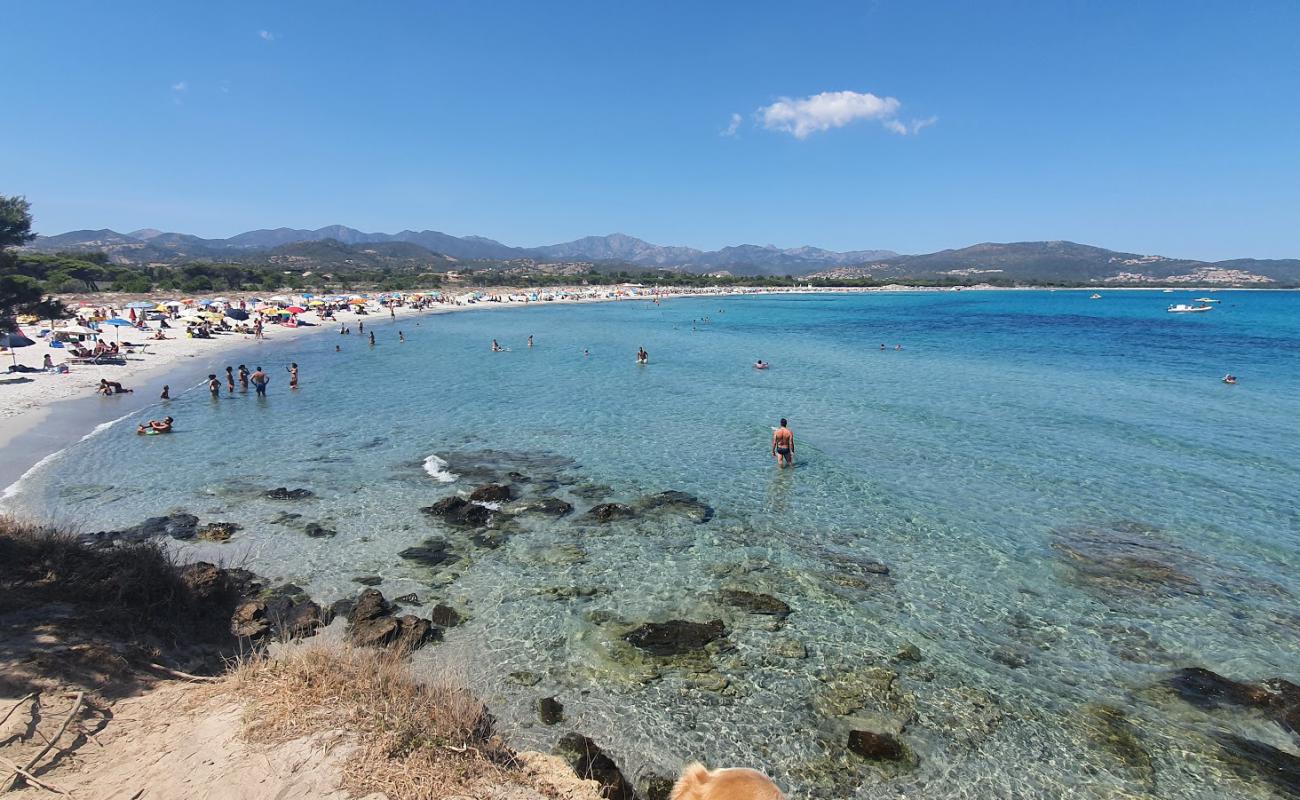 Foto de Playa Capannizza con brillante arena fina superficie