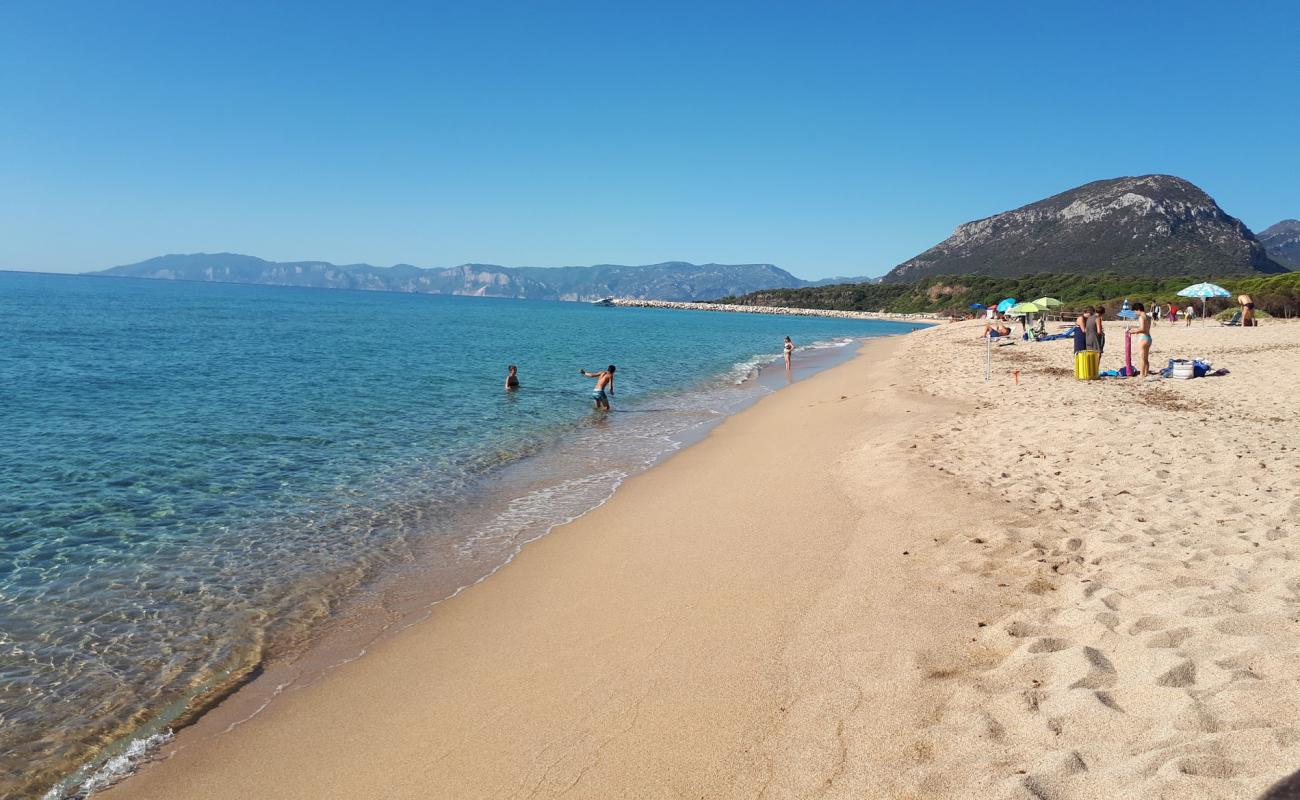 Foto de Spiaggia Su Barone con brillante arena fina superficie