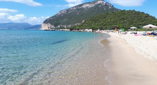 Spiaggia di Cartoe