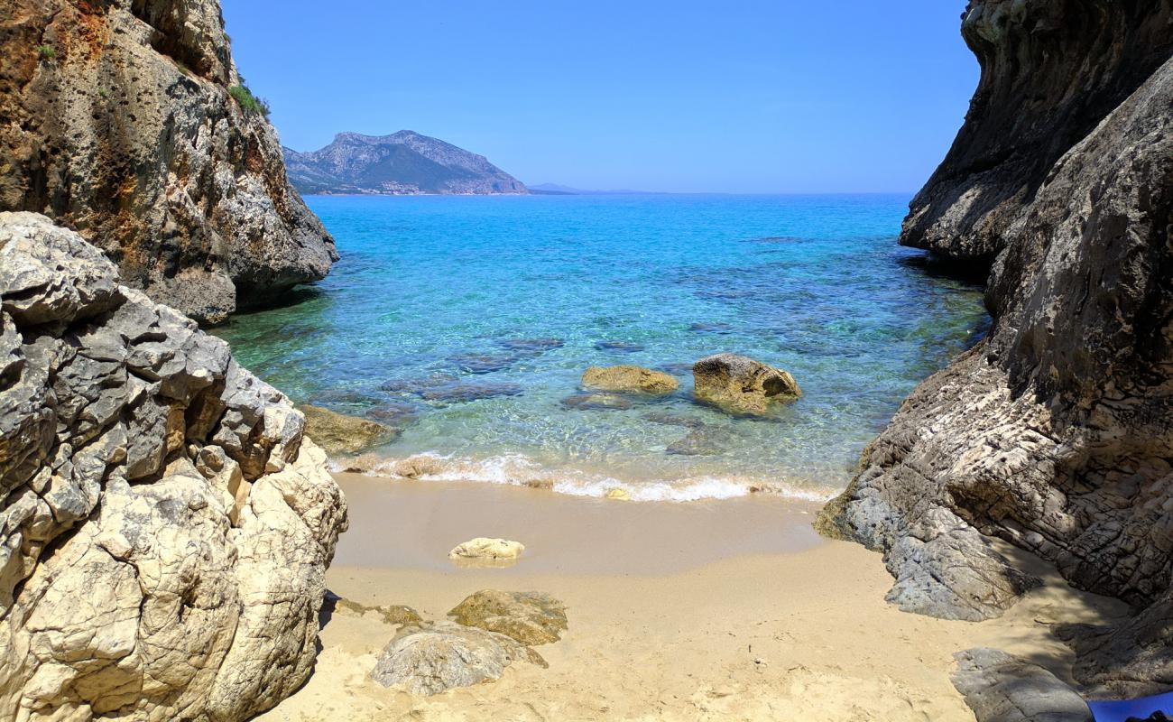 Foto de Cala di Oddoana con brillante arena fina superficie