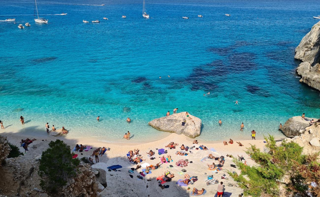 Foto de Cala Goloritze con guijarro fino blanco superficie