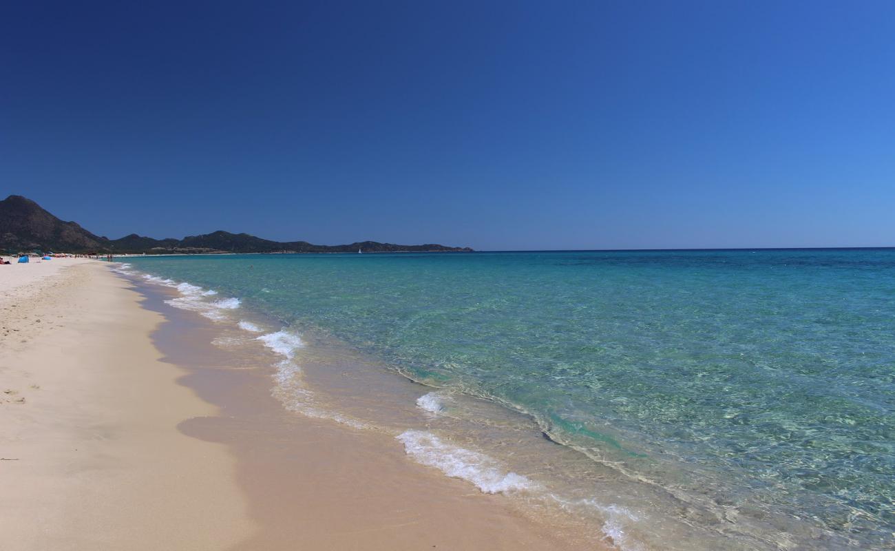 Foto de Piscina de la Playa del Rey con brillante arena fina superficie