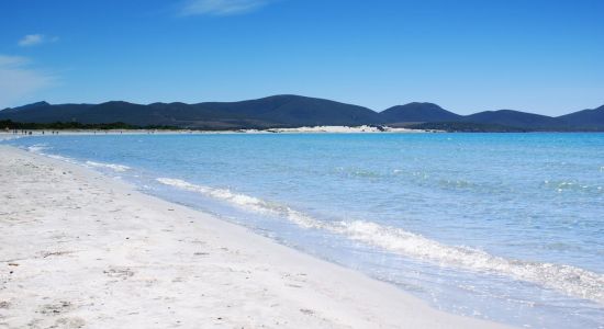 Playa de Porto Pino