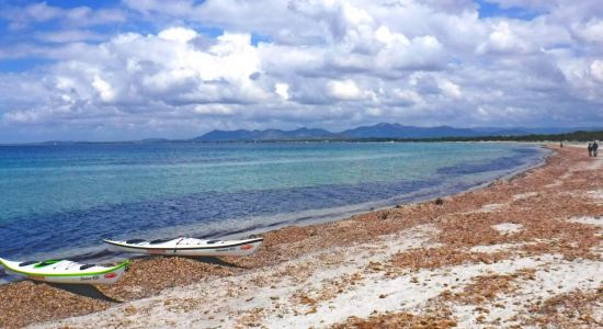 Playa de Wild Wind Sardinia