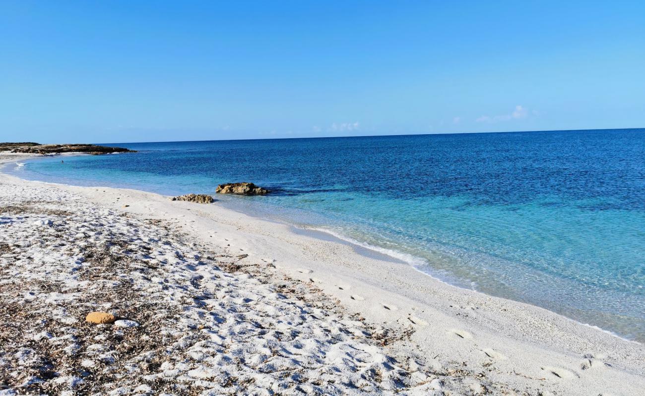 Foto de Spiaggia di Su Crastu Biancu con arena blanca superficie