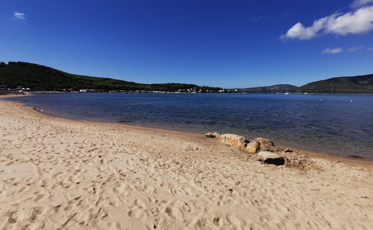 Foto de Porto Conte beach con arena brillante superficie