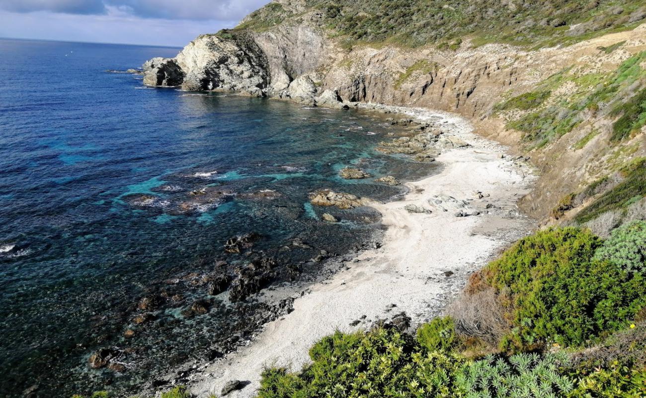 Foto de Cala di Punta Agliastroni con arena brillante y rocas superficie