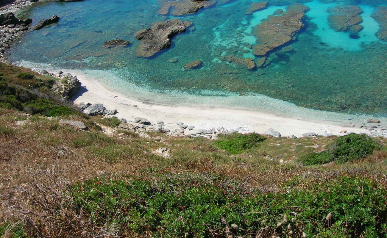 Foto de Cala Puntello con guijarro fino claro superficie